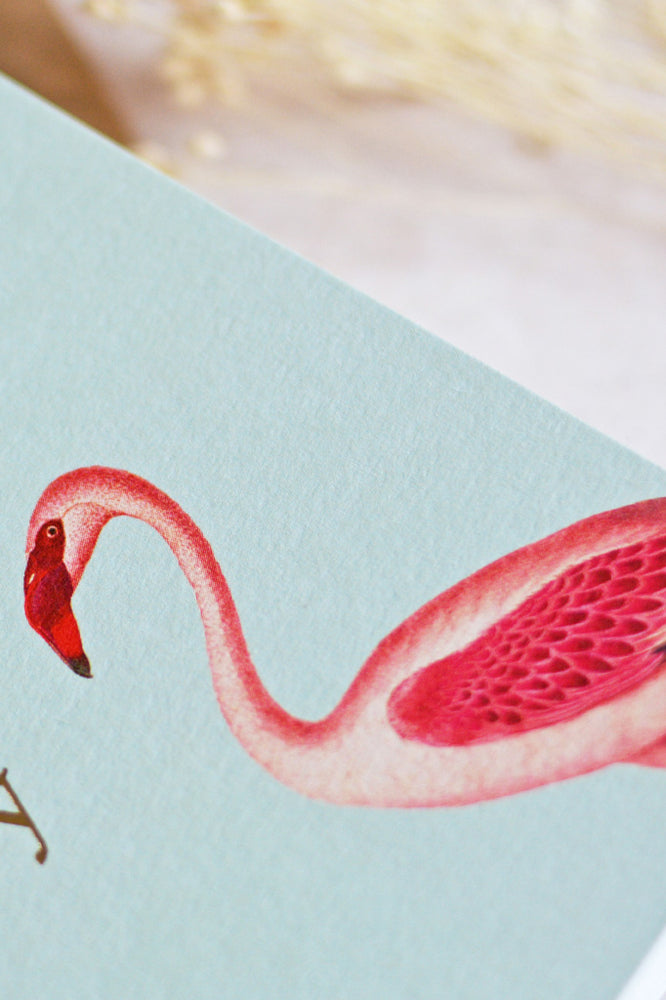 Yvonne Ellen Flamingo Birthday Card