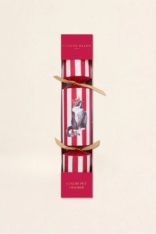 Pet Cat Christmas Cracker