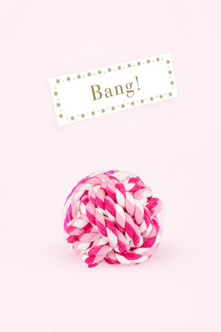 Pet Dog Christmas Cracker