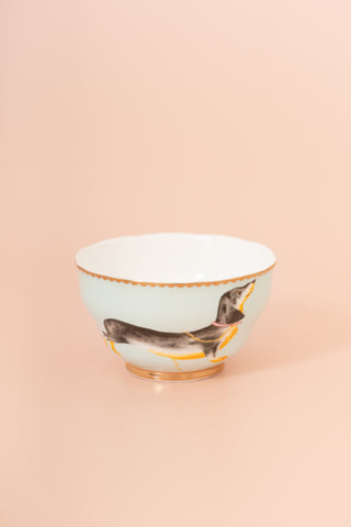 Yvonne Ellen Doggie Bowl