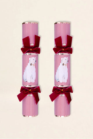 Polar Bear Christmas Crackers