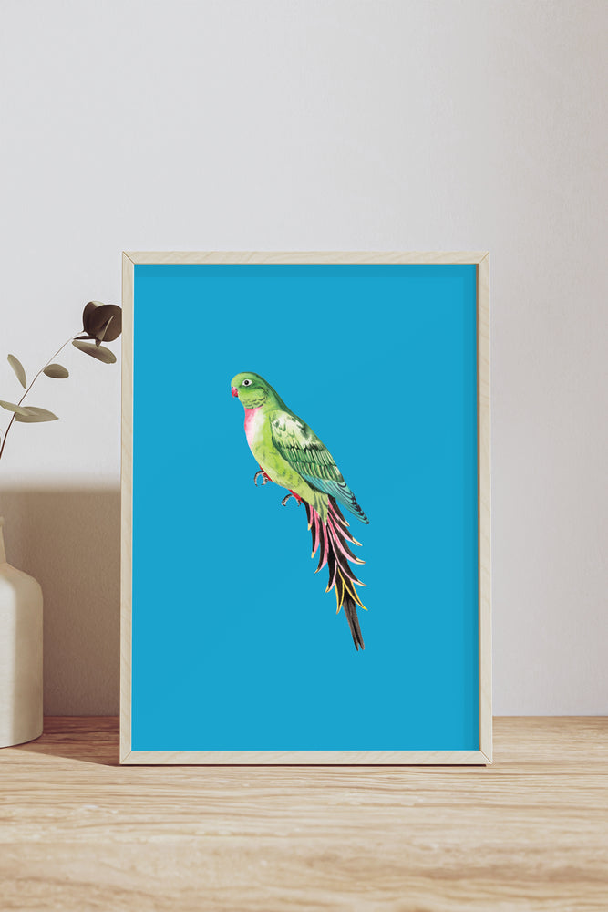 Yvonne Ellen Green Fancy Birdie Wall Print