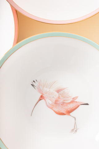 Yvonne Ellen Animal Pasta Bowls (Set of 4)