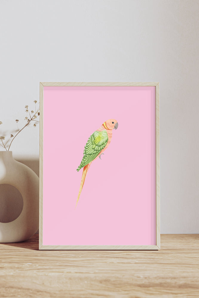 Yvonne Ellen Pink Parrot Wall Print