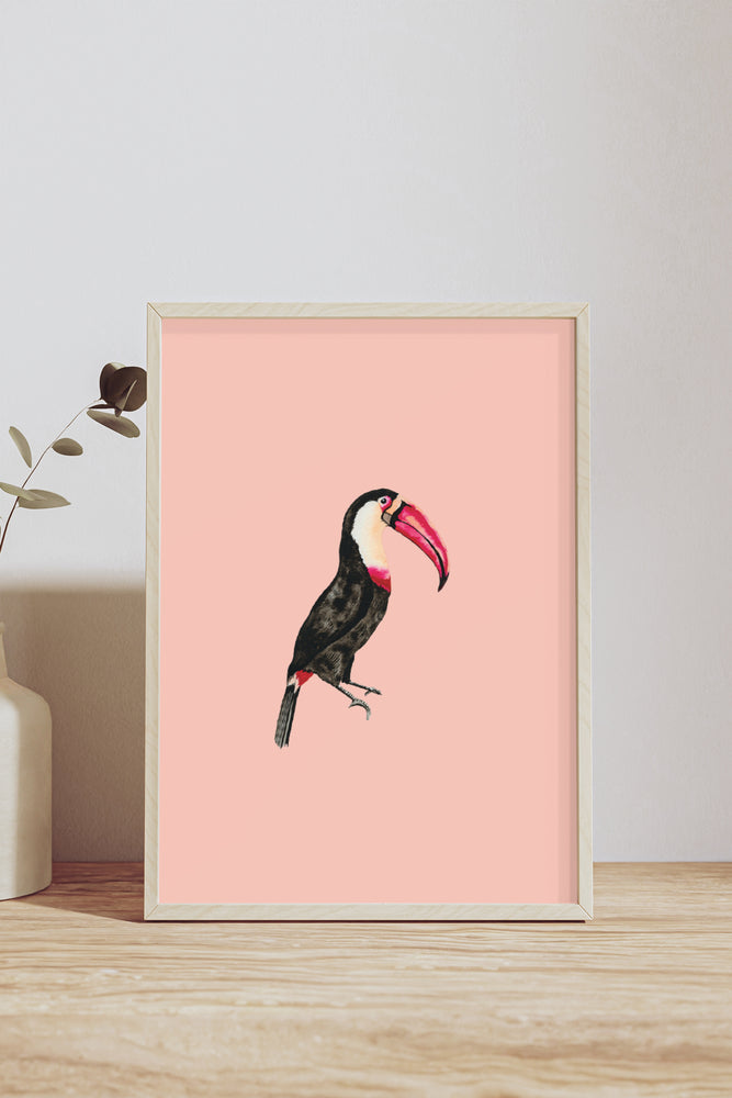 Yvonne Ellen Toucan Wall Print