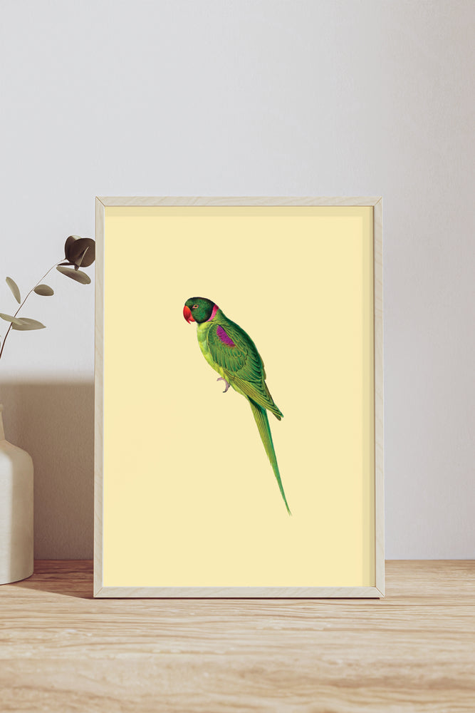 Yvonne Ellen Turquoise Parrot Wall Print