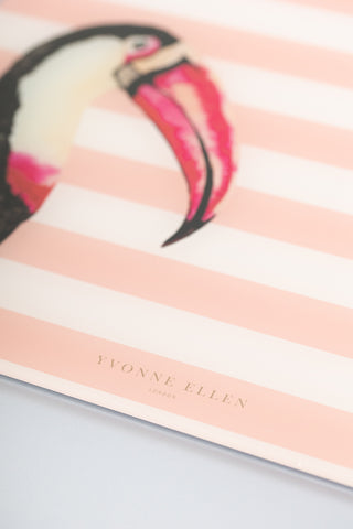 Yvonne Ellen Toucan Glass Worktop Saver