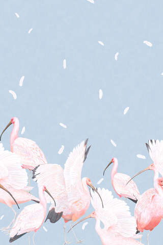 Yvonne Ellen Birds of Paradise Wall Mural, Blue