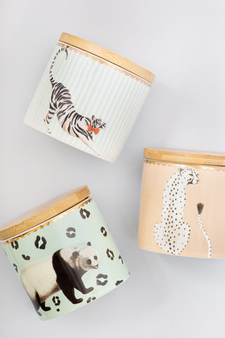 Yvonne Ellen Small Jar Bundle