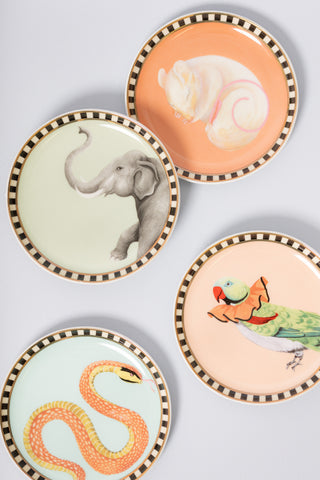 Yvonne Ellen Animal Coasters (Set of 4)