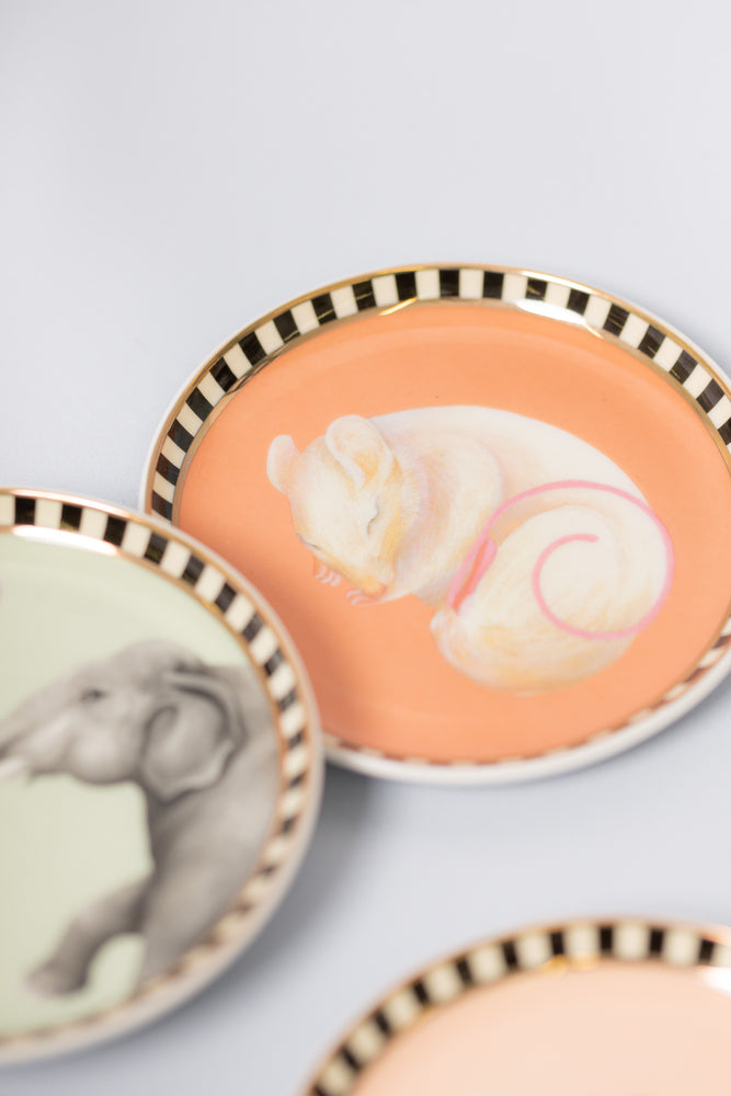 
                
                    Load image into Gallery viewer, Yvonne Ellen Animal Coasters (Set of 4)
                
            